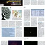 L’Albero delle stelle su Nuovo Orione – i colori nel cielo estivo